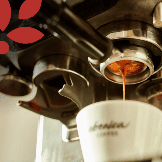 Káva espressova z kávovaru, detail přípravy nápoje, kvalitní káva, Espresso,